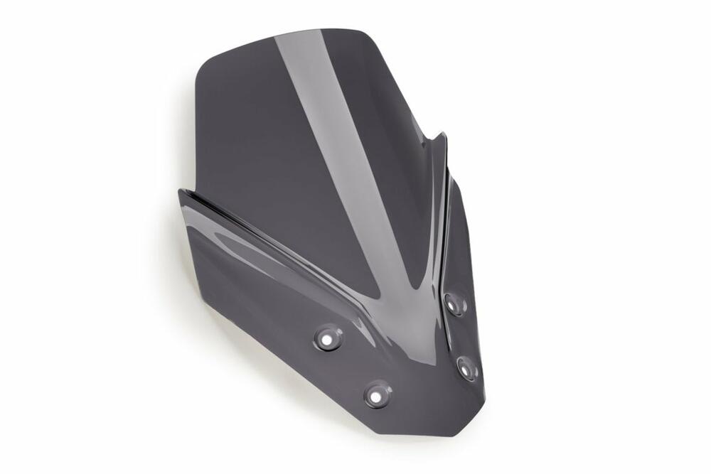 PUIG TOURENCHEIBE SUZUKI SUZUKI GSX-S1000GT 22'- C/STAR - 21342F